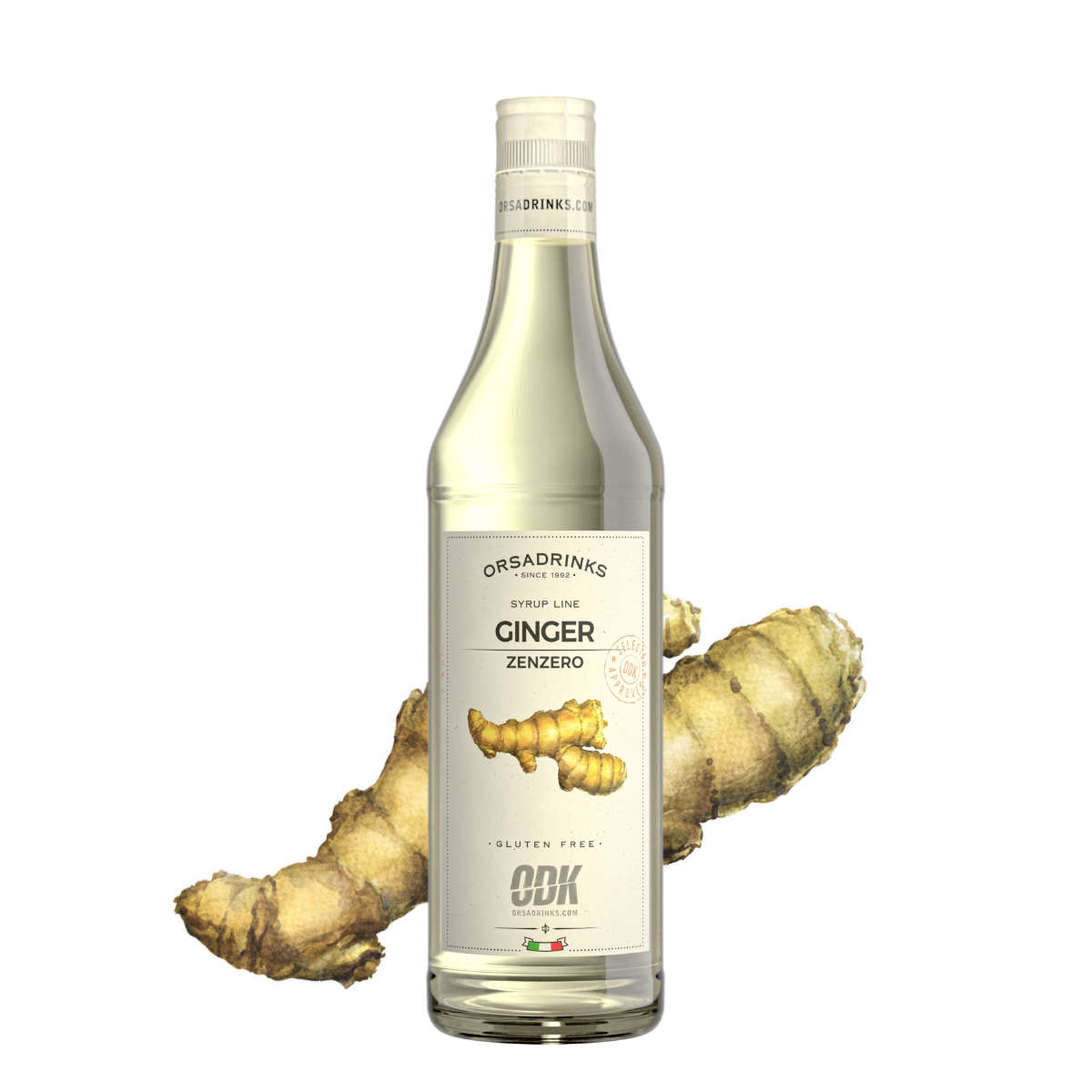 Syrup Jengibre ODK 750 ml